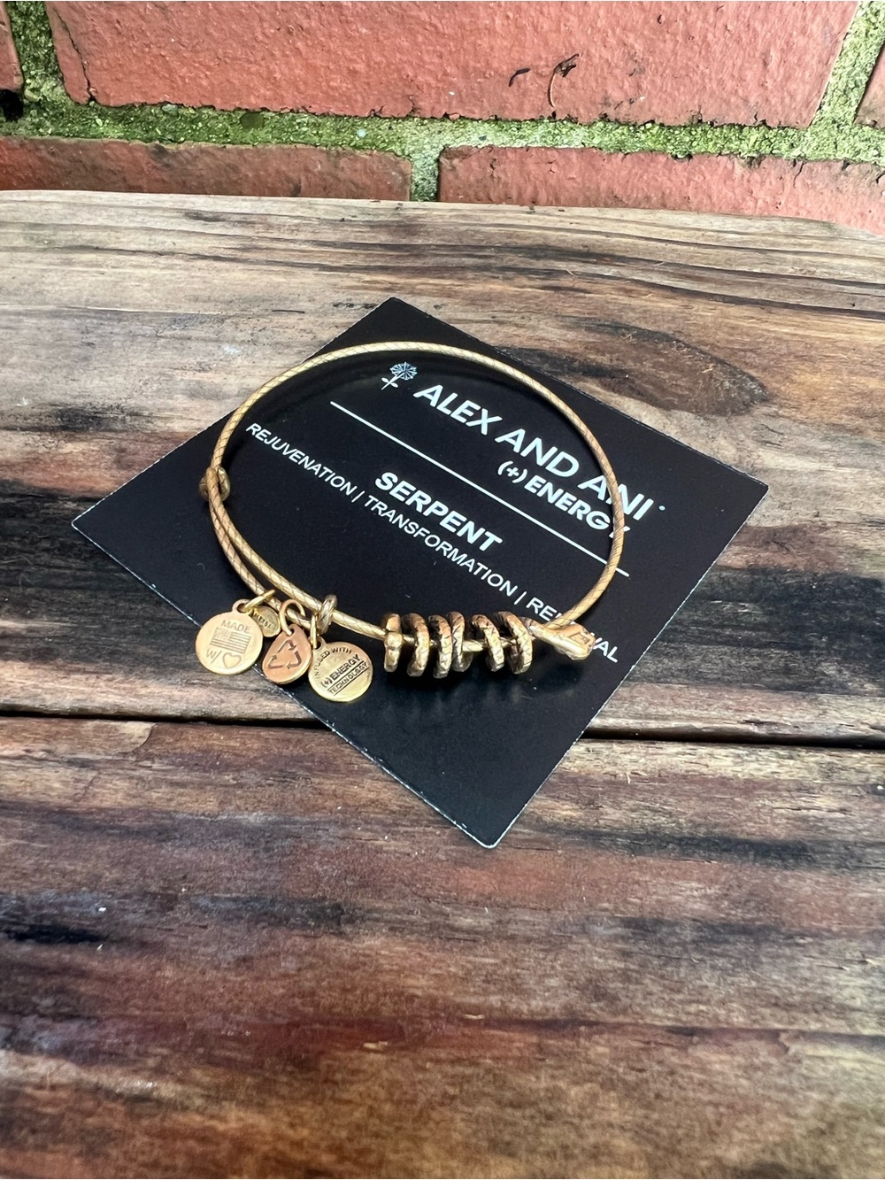 Alex and Ani Serpent Gold Bangle Bracelet Rejuvenation Transformation